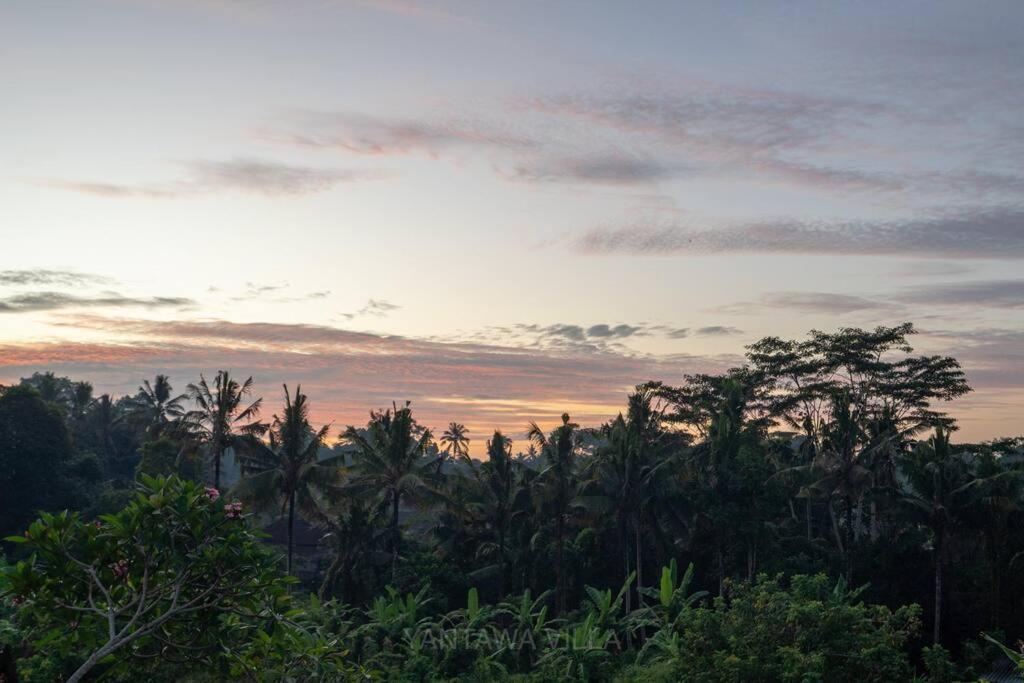 Beautiful 3 Bedroom Jungle View Ubud  Exterior photo
