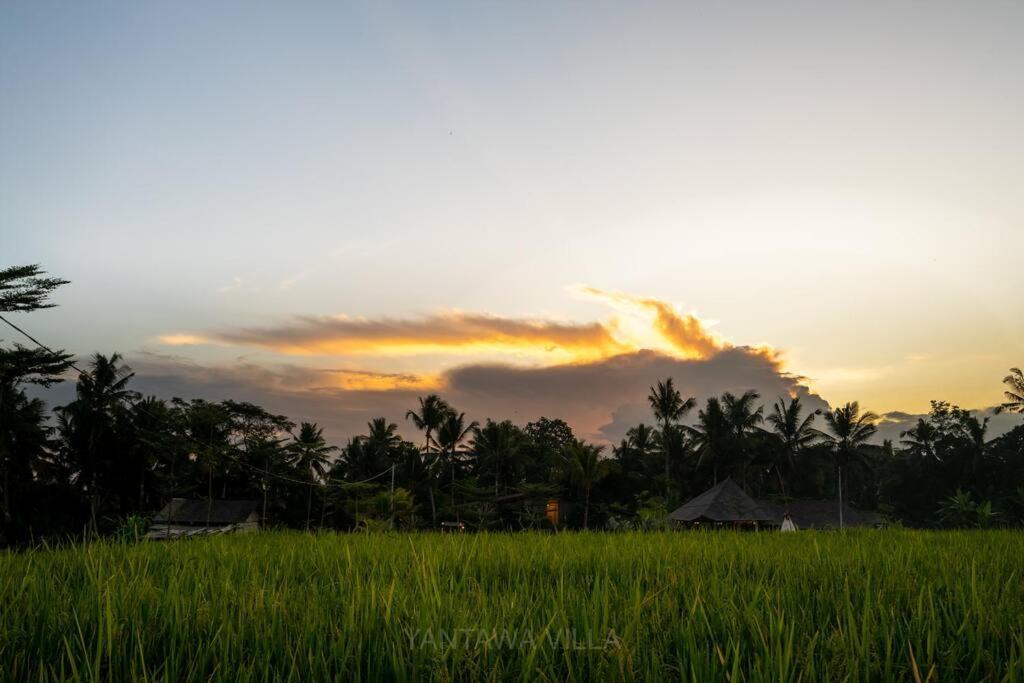 Beautiful 3 Bedroom Jungle View Ubud  Exterior photo
